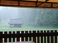 IMG_20240711_150859346