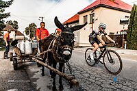 paard en wagen