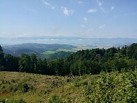 IMG_20240714_093050772_HDR