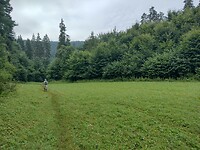 IMG_20240715_083343885_HDR