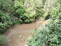 IMG_20240715_100349520