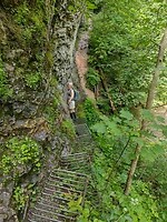 IMG_20240715_101933069_HDR
