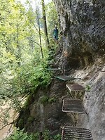 IMG_20240715_102001781