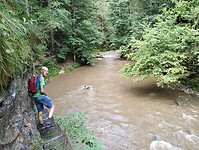 IMG_20240715_102647801