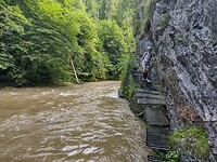 IMG_20240715_102825920_HDR