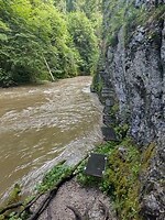 IMG_20240715_102924703_HDR