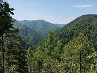 IMG_20240715_115318008