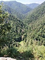 IMG_20240715_120226916