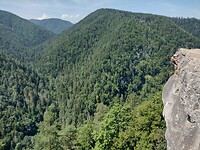 IMG_20240715_120550727_HDR