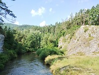 IMG_20240716_092814092