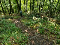 IMG_20240716_100949578_HDR