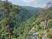 IMG_20240716_105038017_HDR