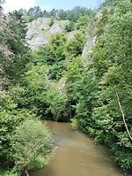 IMG_20240716_113112340