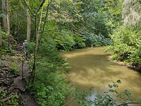 IMG_20240716_114506810_HDR