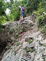 IMG_20240716_122250275