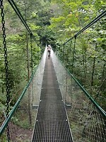 IMG_20240716_123011455