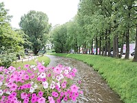IMG_20240717_100642772