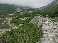 IMG_20240718_100141347_HDR