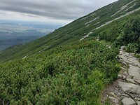 IMG_20240718_130917327_HDR