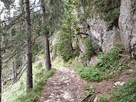 IMG_20240718_135646653