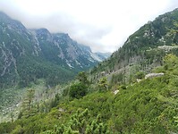 IMG_20240718_140700485
