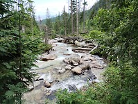 IMG_20240718_150722801