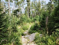 IMG_20240718_153605080