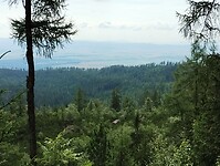 IMG_20240719_092935754