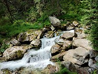 IMG_20240719_102104786_HDR