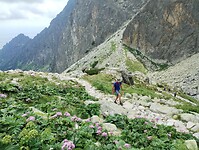 IMG_20240719_120130536