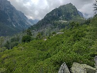 IMG_20240719_141509877_HDR