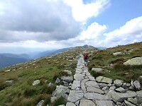 IMG_20240721_123817534