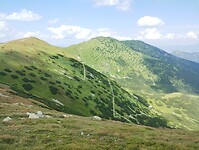 IMG_20240721_133237535