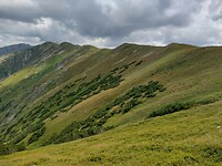 IMG_20240721_134045402_HDR