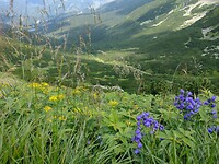 IMG_20240721_135957241