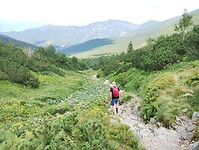 IMG_20240721_141623337