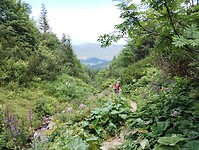 IMG_20240721_142714010