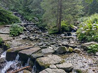IMG_20240721_144324034_HDR