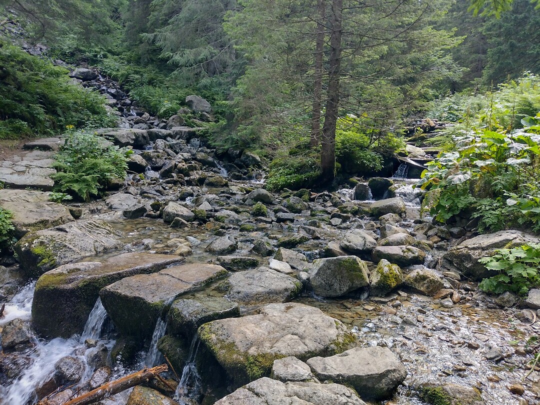 IMG_20240721_144324034_HDR