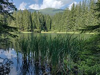 IMG_20240722_091411680_HDR