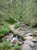 IMG_20240722_101359005
