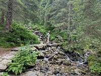 IMG_20240722_101457315_HDR