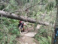 IMG_20240722_102157417