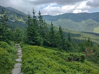 IMG_20240722_111801518_HDR
