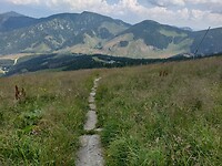 IMG_20240722_113538542_HDR
