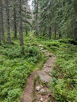 IMG_20240722_121230232_HDR