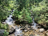 IMG_20240722_123705925_HDR