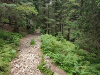 IMG_20240722_125727214