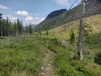 IMG_20240722_131022014_HDR