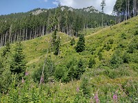IMG_20240722_135803655_HDR